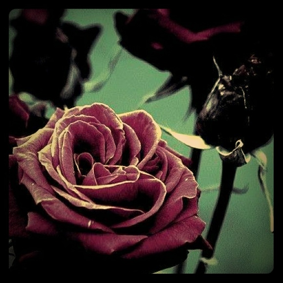 Weekend sale!!! - Picture 1 of 1